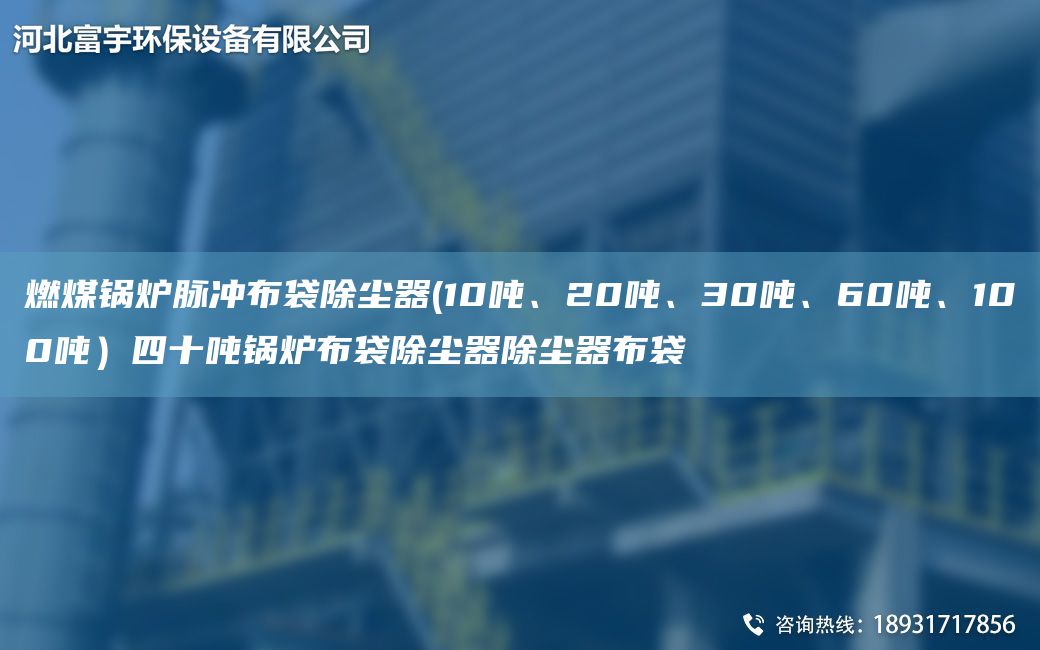 燃煤锅炉脉冲布袋除尘器(10吨、20吨、30吨、60吨、100吨）四十吨锅炉布袋除尘器除尘器布袋