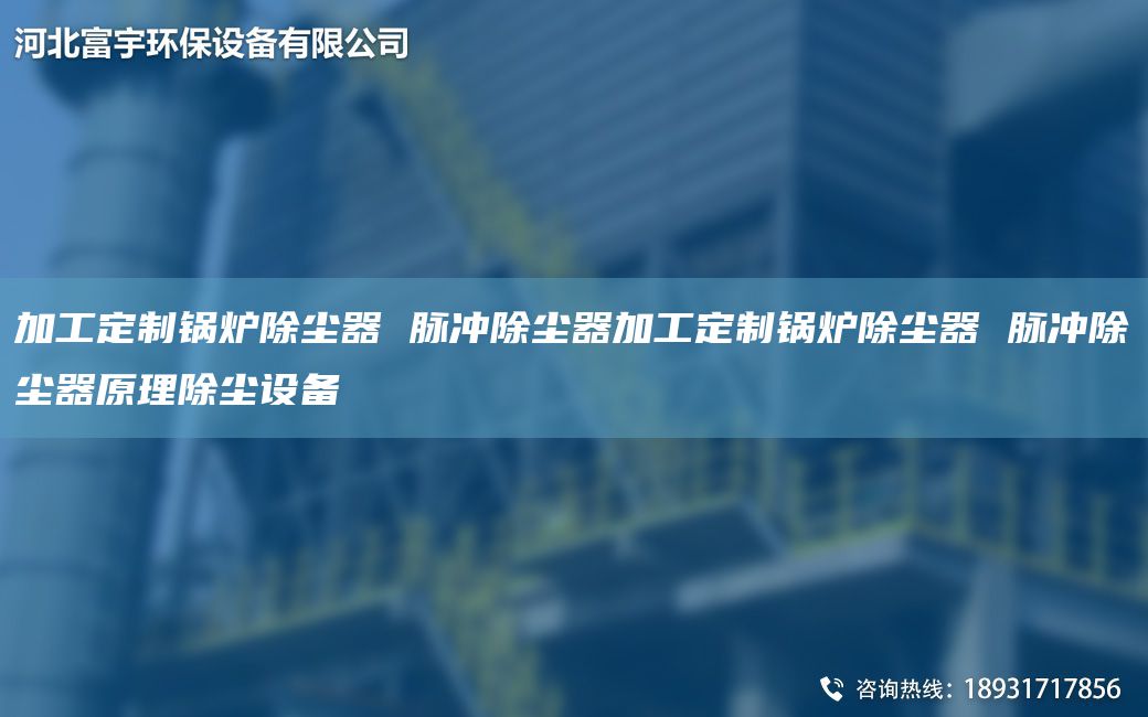 加工定制锅炉除尘器 脉冲除尘器加工定制锅炉除尘器 脉冲除尘器原理除尘设备