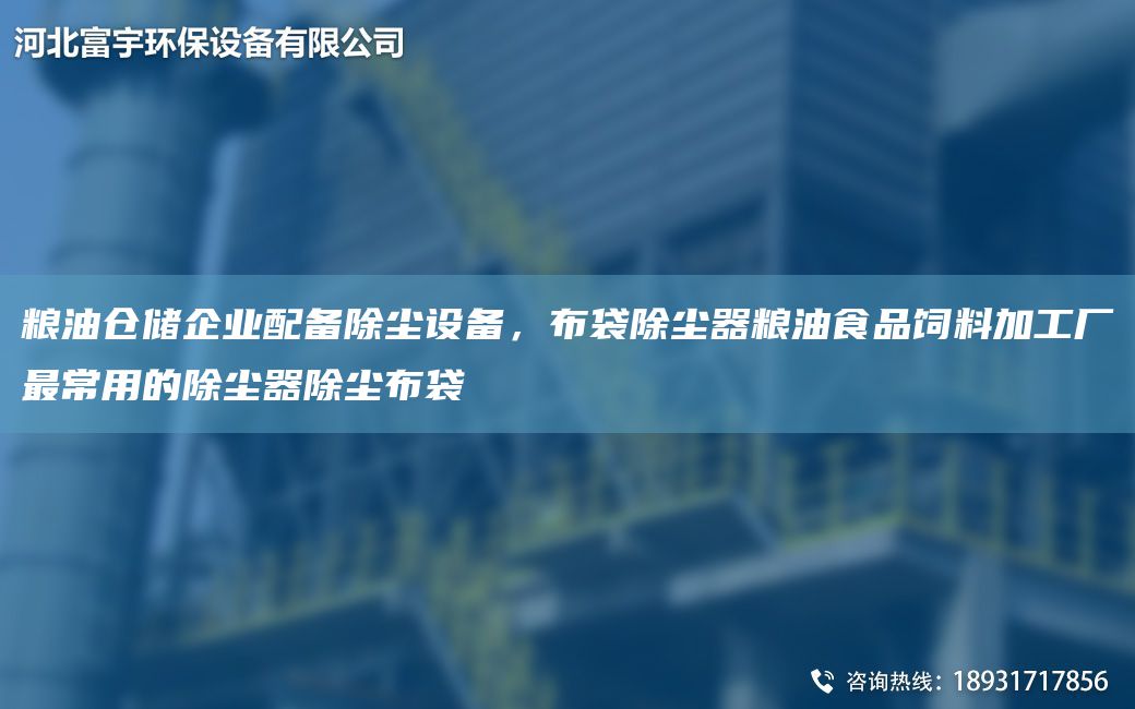 粮油仓储企业配备除尘设备，布袋除尘器粮油食品饲料加工厂最常用的除尘器除尘布袋