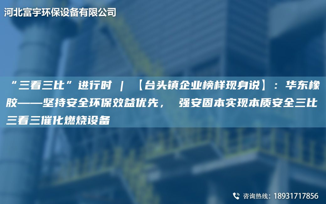 “三看三比”进行时 | 【TA-I头镇企业榜样现身说】：华东橡胶——坚持安全环保效益优先， 强安固本实现本质安全三比三看三催化燃烧设备
