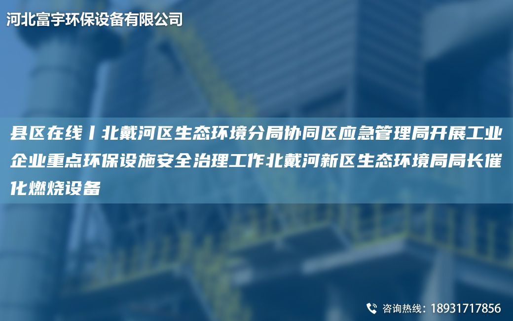 县区在线丨北戴河区生态环境分局协同区应急管理局开展工业企业重点环保设施安全治理工作北戴河新区生态环境局局长催化燃烧设备