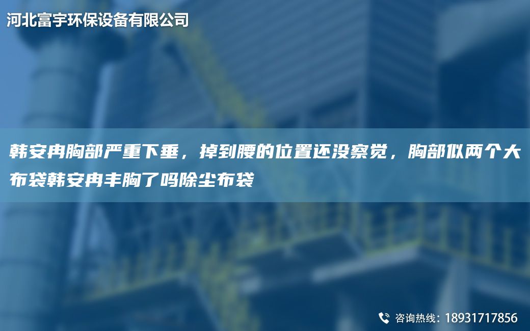 韩安冉胸部严重下垂，掉到腰的位置还没察觉，胸部似两个大布袋韩安冉丰胸了吗除尘布袋