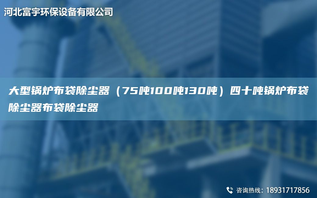 大型锅炉布袋除尘器（75吨100吨130吨）四十吨锅炉布袋除尘器布袋除尘器