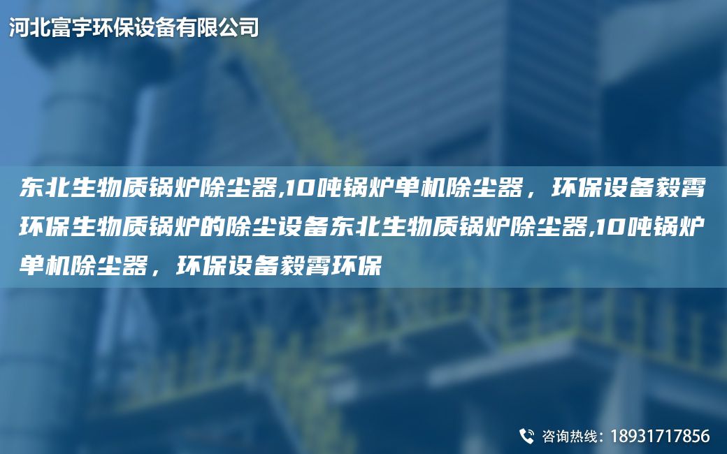 东北生物质锅炉除尘器,10吨锅炉单机除尘器，环保设备毅霄环保生物质锅炉的除尘设备东北生物质锅炉除尘器,10吨锅炉单机除尘器，环保设备毅霄环保