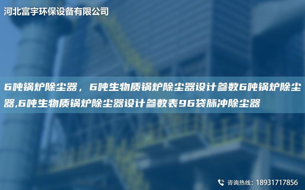 6吨锅炉除尘器，6吨生物质锅炉除尘器设计参数6吨锅炉除尘器,6吨生物质锅炉除尘器设计参数表96袋脉冲除尘器