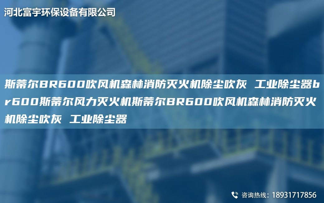 斯蒂尔BR600吹风机森林消防灭火机除尘吹灰 工业除尘器br600斯蒂尔风力灭火机斯蒂尔BR600吹风机森林消防灭火机除尘吹灰 工业除尘器
