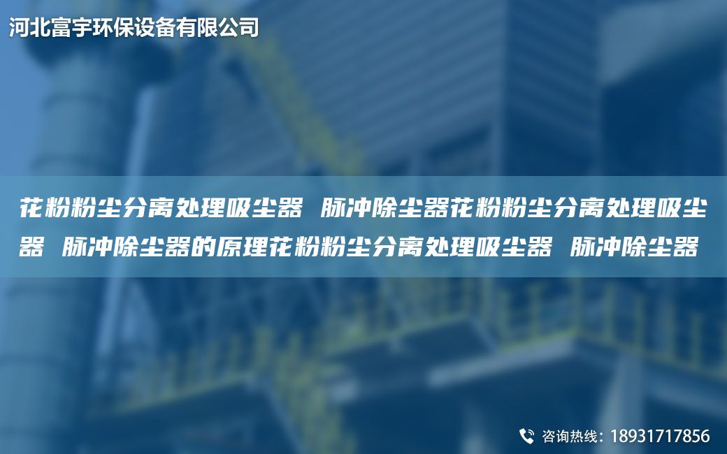 花粉粉尘分离处理吸尘器 脉冲除尘器花粉粉尘分离处理吸尘器 脉冲除尘器的原理花粉粉尘分离处理吸尘器 脉冲除尘器
