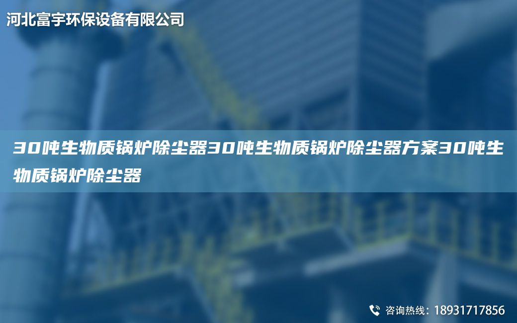 30吨生物质锅炉除尘器30吨生物质锅炉除尘器方案30吨生物质锅炉除尘器