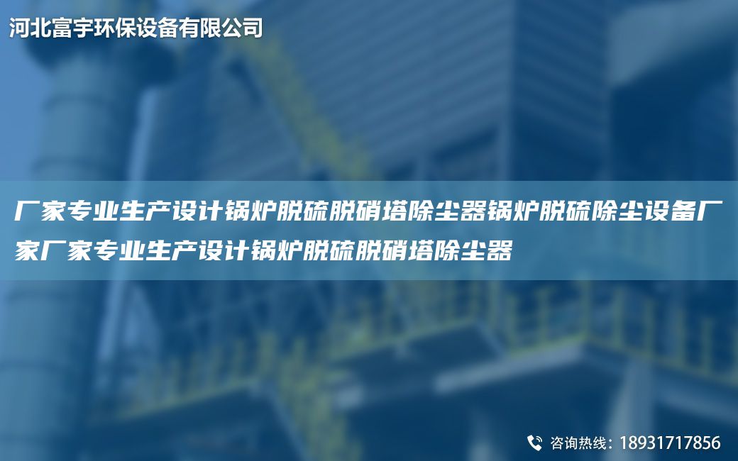 厂家专业生产设计锅炉脱硫脱硝塔除尘器锅炉脱硫除尘设备厂家厂家专业生产设计锅炉脱硫脱硝塔除尘器