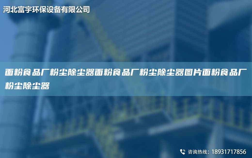 面粉食品厂粉尘除尘器面粉食品厂粉尘除尘器图片面粉食品厂粉尘除尘器