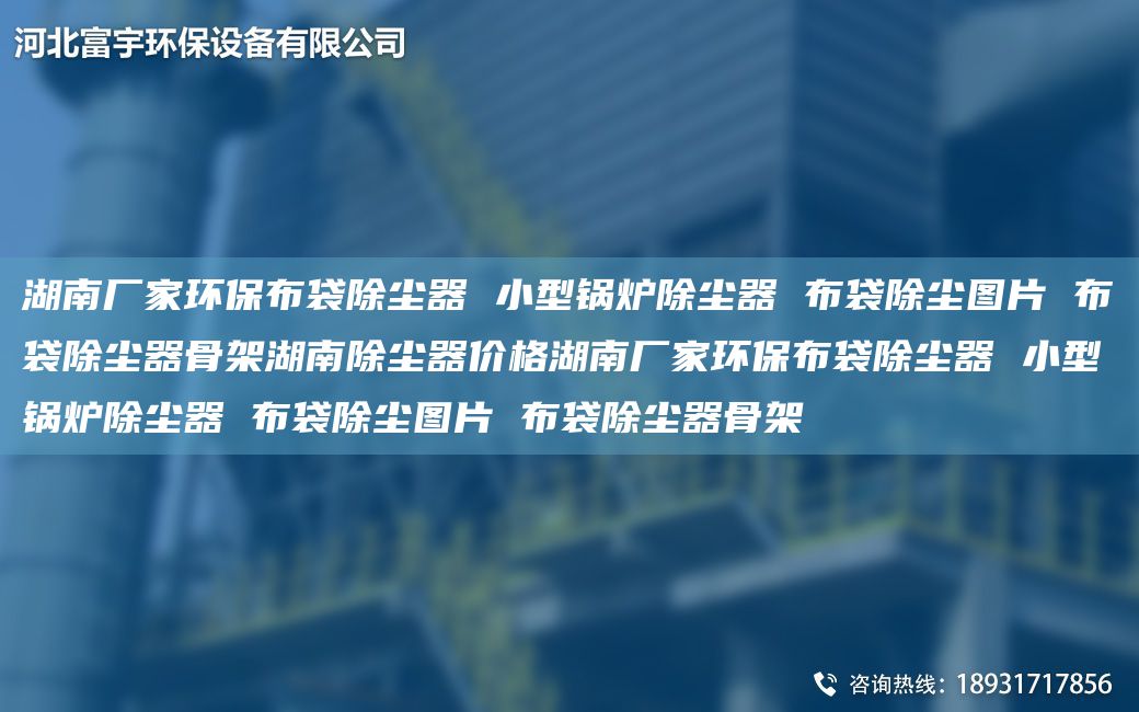 湖南厂家环保布袋除尘器 小型锅炉除尘器 布袋除尘图片 布袋除尘器骨架湖南除尘器价格湖南厂家环保布袋除尘器 小型锅炉除尘器 布袋除尘图片 布袋除尘器骨架