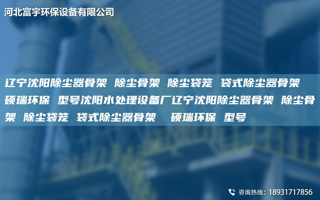 辽宁沈阳除尘器骨架 除尘骨架 除尘袋笼 袋式除尘器骨架  硕瑞环保 型号沈阳水处理设备厂辽宁沈阳除尘器骨架 除尘骨架 除尘袋笼 袋式除尘器骨架  硕瑞环保 型号