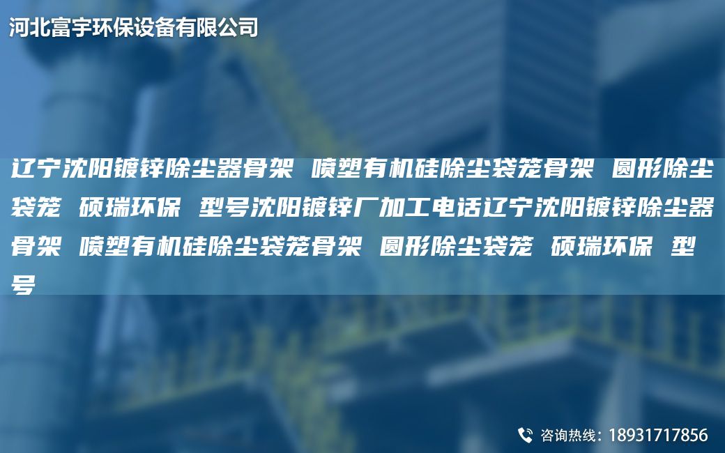 辽宁沈阳镀锌除尘器骨架 喷塑有机硅除尘袋笼骨架 圆形除尘袋笼 硕瑞环保 型号沈阳镀锌厂加工电话辽宁沈阳镀锌除尘器骨架 喷塑有机硅除尘袋笼骨架 圆形除尘袋笼 硕瑞环保 型号