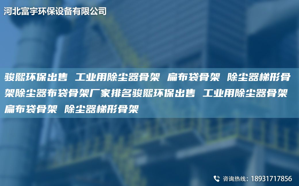骏熙环保出售 工业用除尘器骨架 扁布袋骨架 除尘器梯形骨架除尘器布袋骨架厂家排M骏熙环保出售 工业用除尘器骨架 扁布袋骨架 除尘器梯形骨架