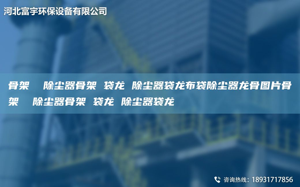 骨架  除尘器骨架 袋龙 除尘器袋龙布袋除尘器龙骨图片骨架  除尘器骨架 袋龙 除尘器袋龙