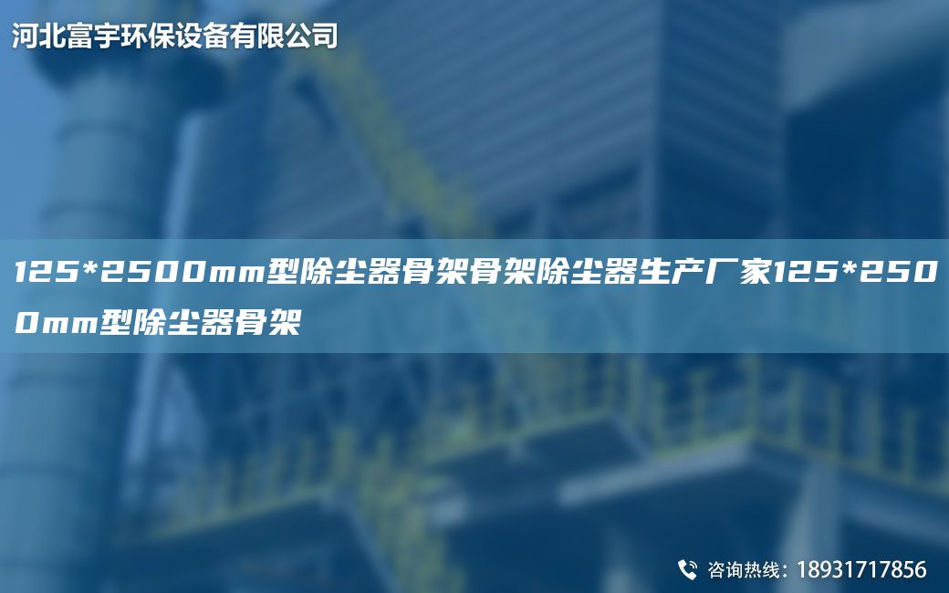 125*2500mm型除尘器骨架骨架除尘器生产厂家125*2500mm型除尘器骨架