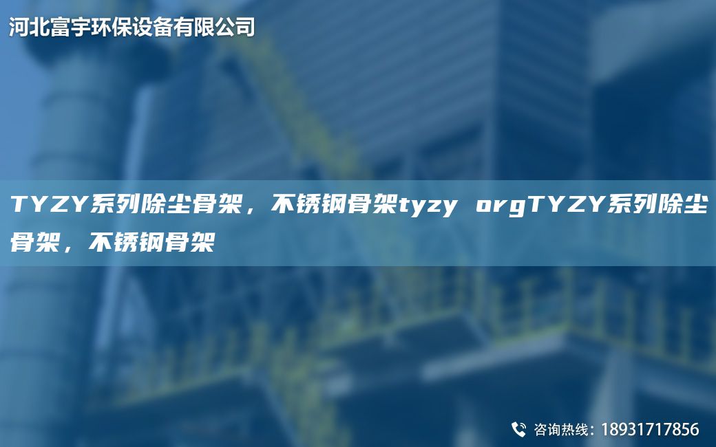 TYZY系列除尘骨架，不锈钢骨架tyzy orgTYZY系列除尘骨架，不锈钢骨架