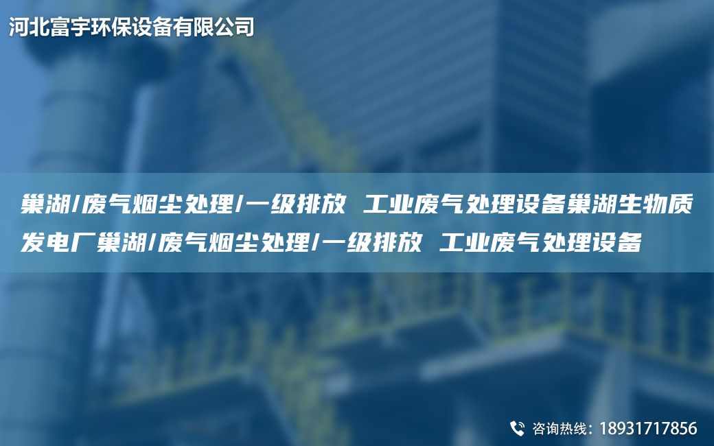 巢湖/废气烟尘处理/一级排放 工业废气处理设备巢湖生物质发电厂巢湖/废气烟尘处理/一级排放 工业废气处理设备
