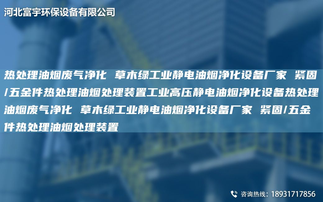 热处理油烟废气净化 草木绿工业静电油烟净化设备厂家 紧固/五金件热处理油烟处理装置工业高压静电油烟净化设备热处理油烟废气净化 草木绿工业静电油烟净化设备厂家 紧固/五金件热处理油烟处理装置