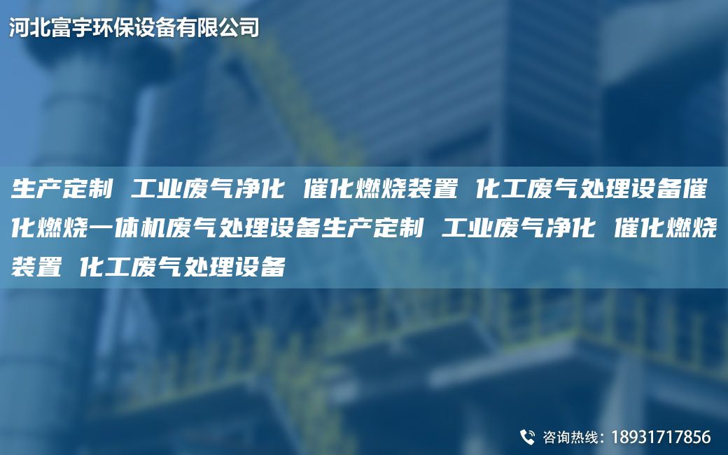 生产定制 工业废气净化 催化燃烧装置 化工废气处理设备催化燃烧一体机废气处理设备生产定制 工业废气净化 催化燃烧装置 化工废气处理设备