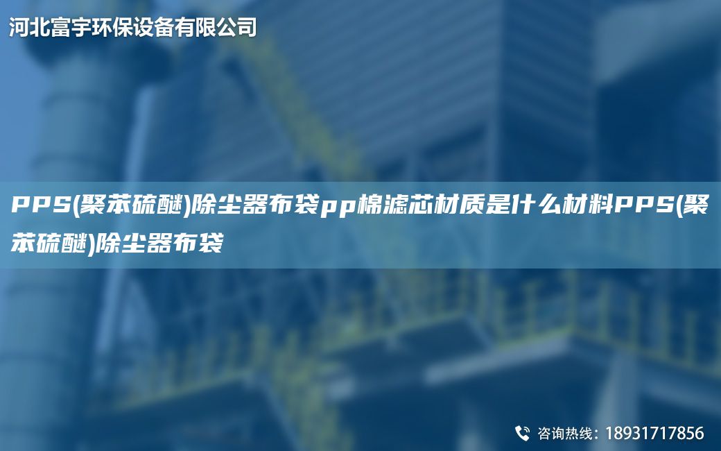 PPS(聚苯硫醚)除尘器布袋pp棉滤芯材质是什么材料PPS(聚苯硫醚)除尘器布袋