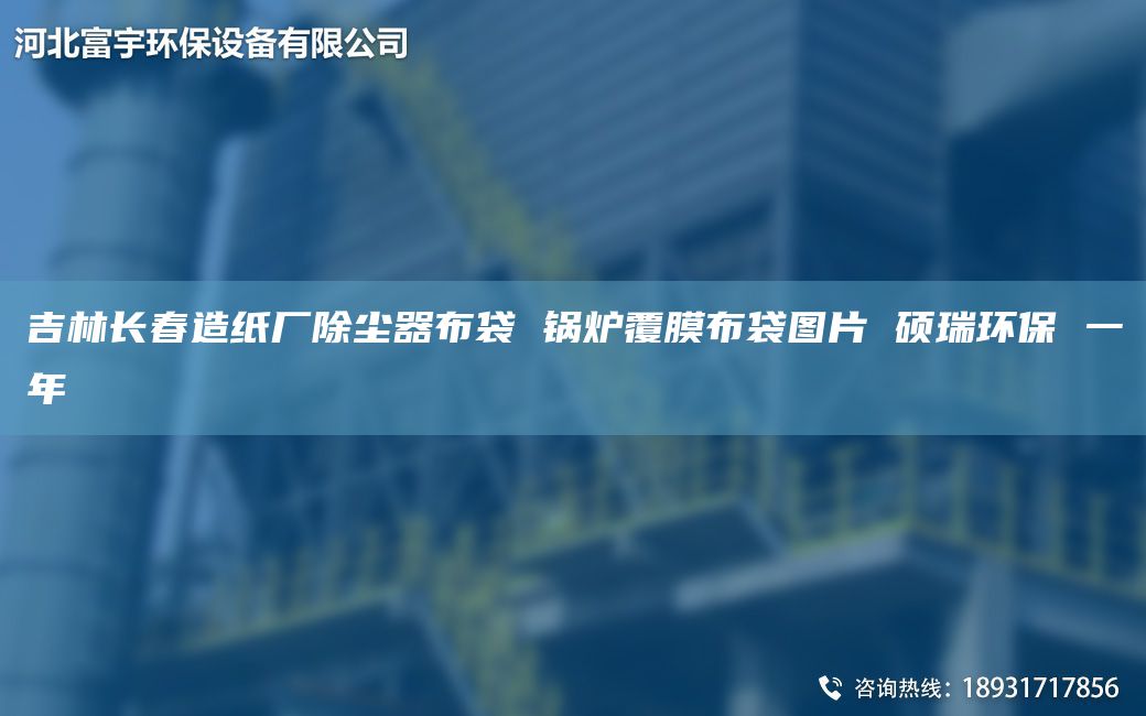 吉林长春造纸厂除尘器布袋 锅炉覆膜布袋图片 硕瑞环保 一NA
