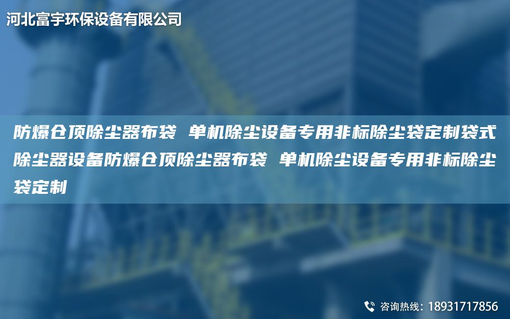 防爆仓顶除尘器布袋 单机除尘设备专用非标除尘袋定制袋式除尘器设备防爆仓顶除尘器布袋 单机除尘设备专用非标除尘袋定制