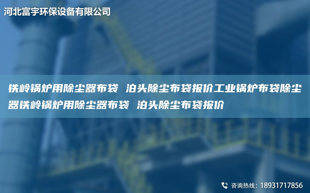 铁岭锅炉用除尘器布袋 泊头除尘布袋报价工业锅炉布袋除尘器铁岭锅炉用除尘器布袋 泊头除尘布袋报价