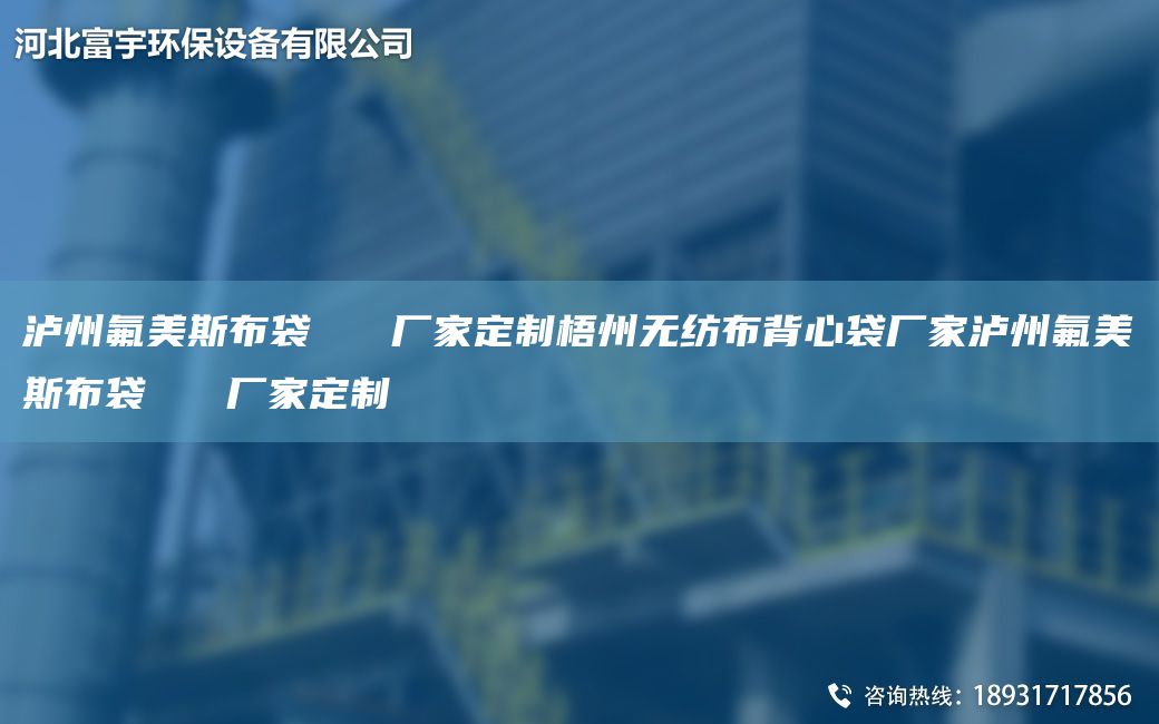 泸州氟美斯布袋   厂家定制梧州无纺布背心袋厂家泸州氟美斯布袋   厂家定制