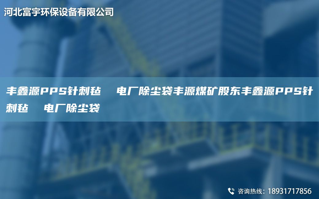 丰鑫源PPS针刺毡  电厂除尘袋丰源煤矿股东丰鑫源PPS针刺毡  电厂除尘袋