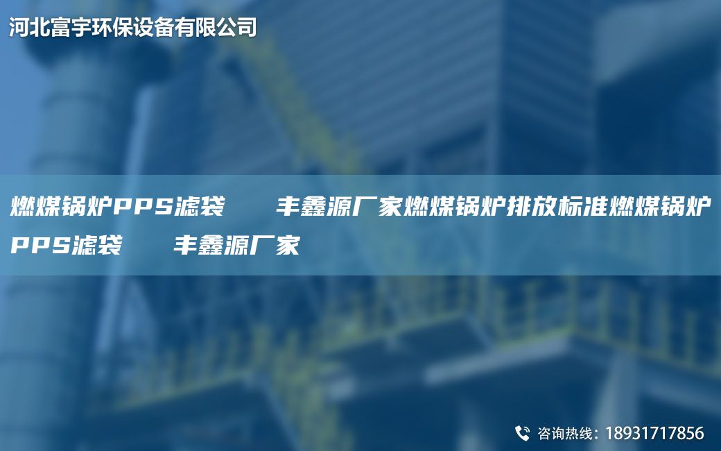 燃煤锅炉PPS滤袋   丰鑫源厂家燃煤锅炉排放标准燃煤锅炉PPS滤袋   丰鑫源厂家