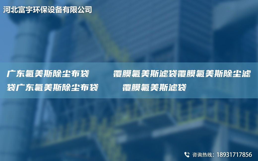 广东氟美斯除尘布袋    覆膜氟美斯滤袋覆膜氟美斯除尘滤袋广东氟美斯除尘布袋    覆膜氟美斯滤袋