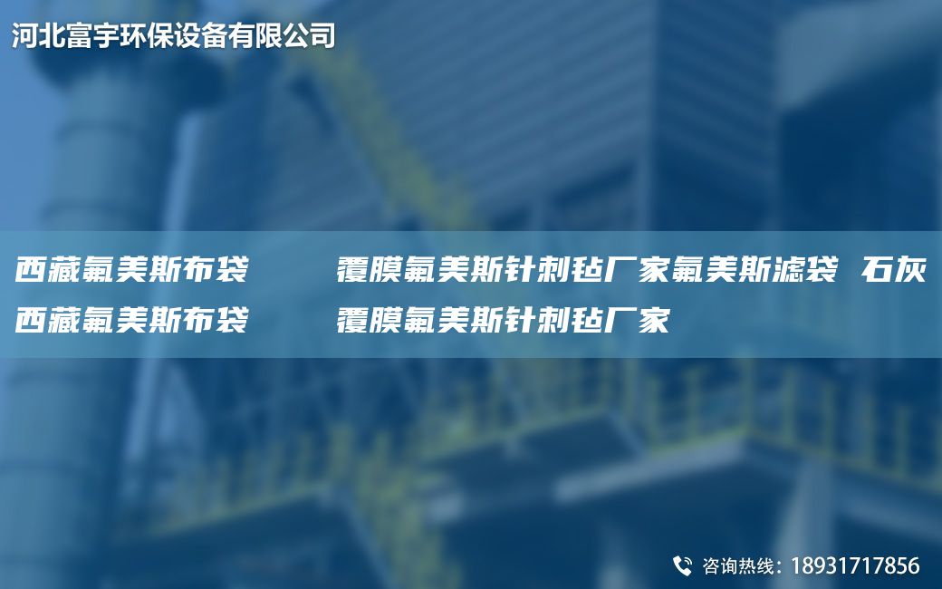 西藏氟美斯布袋    覆膜氟美斯针刺毡厂家氟美斯滤袋 石灰西藏氟美斯布袋    覆膜氟美斯针刺毡厂家