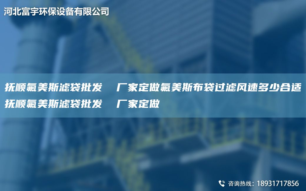 抚顺氟美斯滤袋批发  厂家定做氟美斯布袋过滤风速多少合适抚顺氟美斯滤袋批发  厂家定做