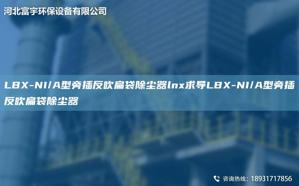 LBX-NI/A型旁插反吹扁袋除尘器lnx求导LBX-NI/A型旁插反吹扁袋除尘器