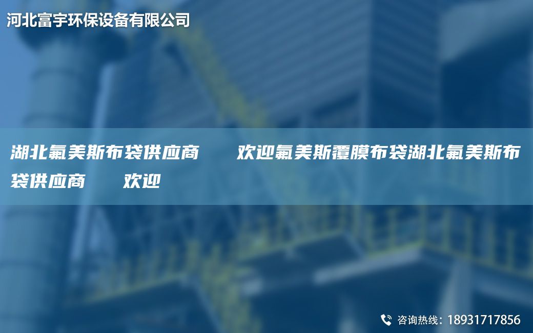 湖北氟美斯布袋供应商   欢迎氟美斯覆膜布袋湖北氟美斯布袋供应商   欢迎