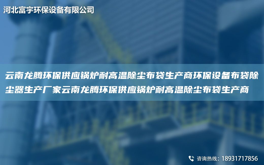 云南龙腾环保供应锅炉耐高温除尘布袋生产商环保设备布袋除尘器生产厂家云南龙腾环保供应锅炉耐高温除尘布袋生产商