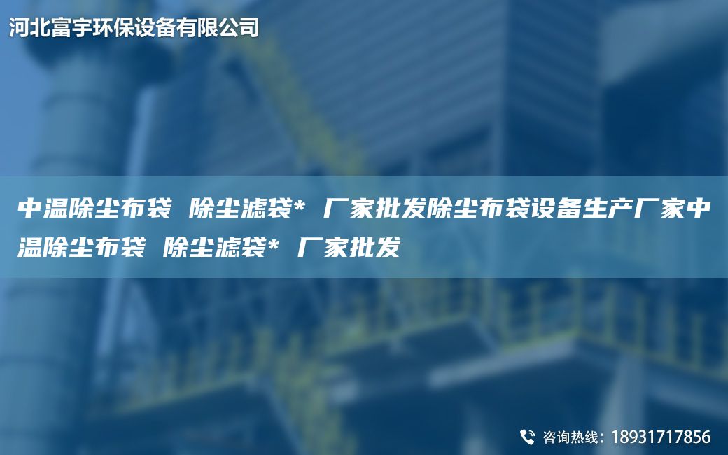 中温除尘布袋 除尘滤袋* 厂家批发除尘布袋设备生产厂家中温除尘布袋 除尘滤袋* 厂家批发