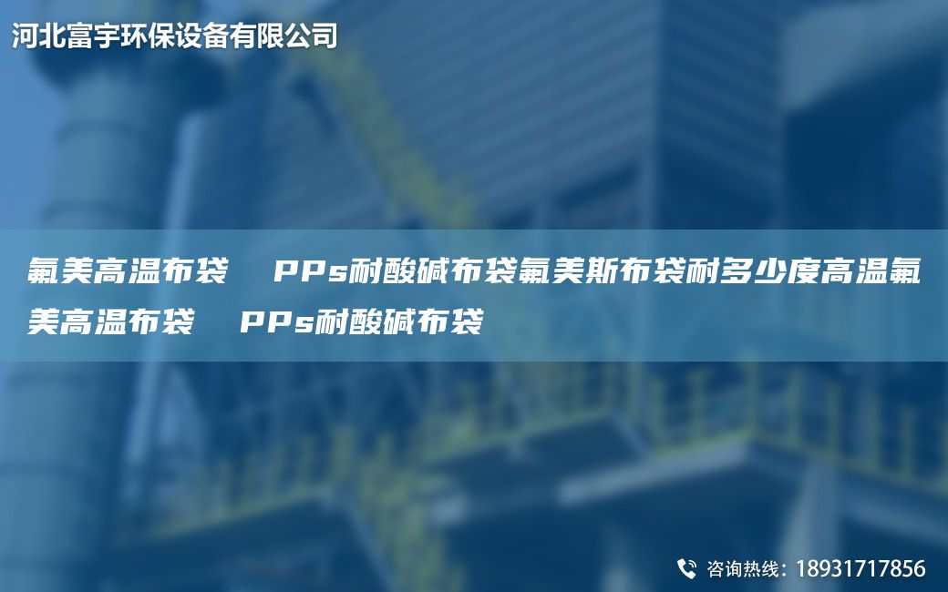氟美高温布袋  PPs耐酸碱布袋氟美斯布袋耐多少度高温氟美高温布袋  PPs耐酸碱布袋