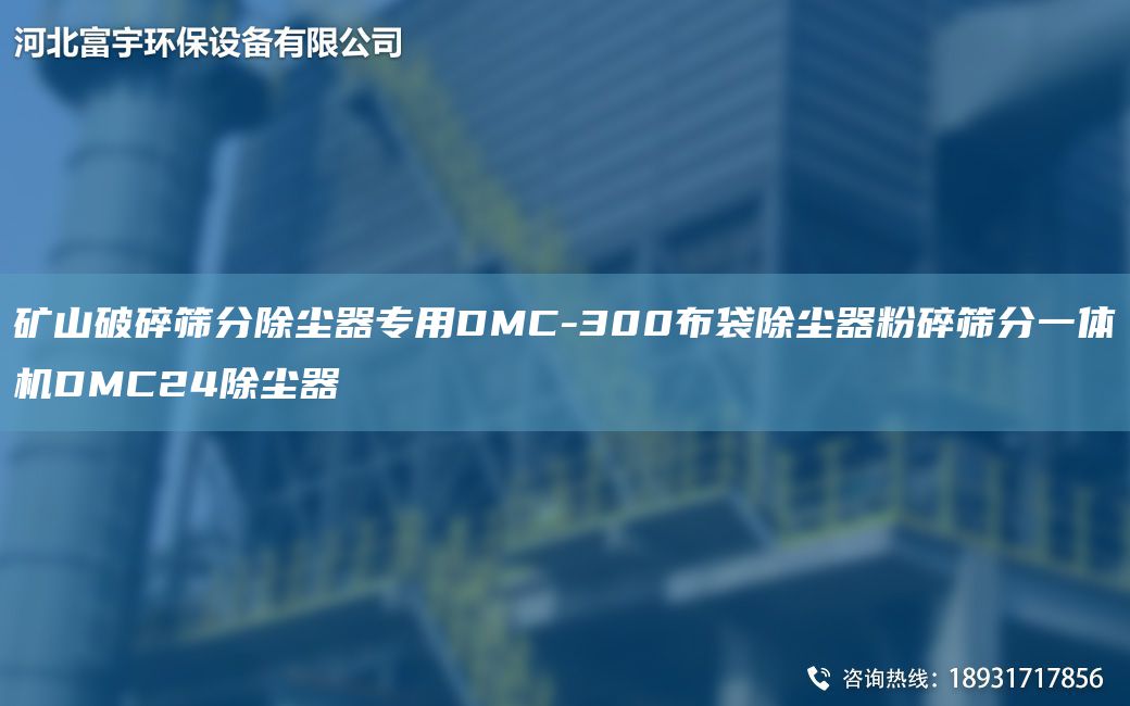 矿山破碎筛分除尘器专用DMC-300布袋除尘器粉碎筛分一体机DMC24除尘器