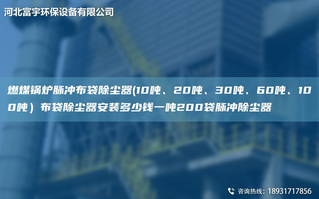 燃煤锅炉脉冲布袋除尘器(10吨、20吨、30吨、60吨、100吨）布袋除尘器安装多少钱一吨200袋脉冲除尘器