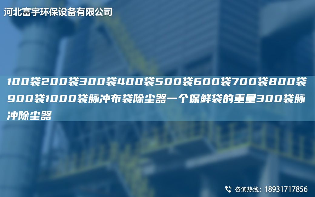 100袋200袋300袋400袋500袋600袋700袋800袋900袋1000袋脉冲布袋除尘器一个保鲜袋的重量300袋脉冲除尘器