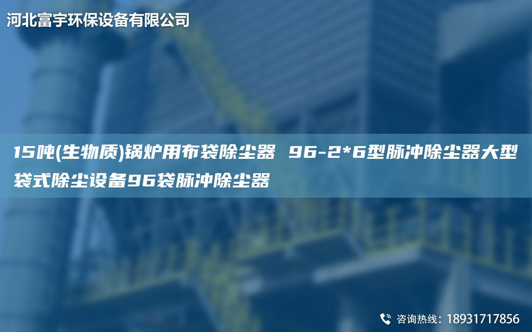 15吨(生物质)锅炉用布袋除尘器 96-2*6型脉冲除尘器大型袋式除尘设备96袋脉冲除尘器