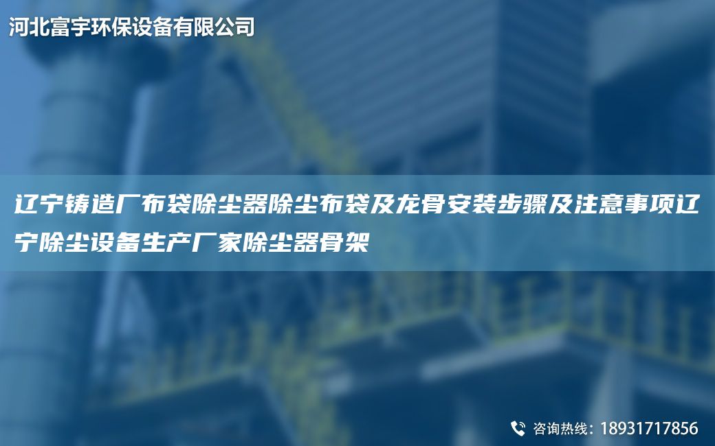 辽宁铸造厂布袋除尘器除尘布袋及龙骨安装步骤及注意事项辽宁除尘设备生产厂家除尘器骨架