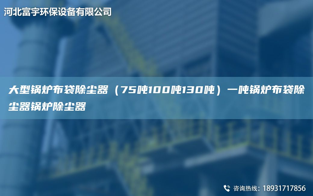 大型锅炉布袋除尘器（75吨100吨130吨）一吨锅炉布袋除尘器锅炉除尘器