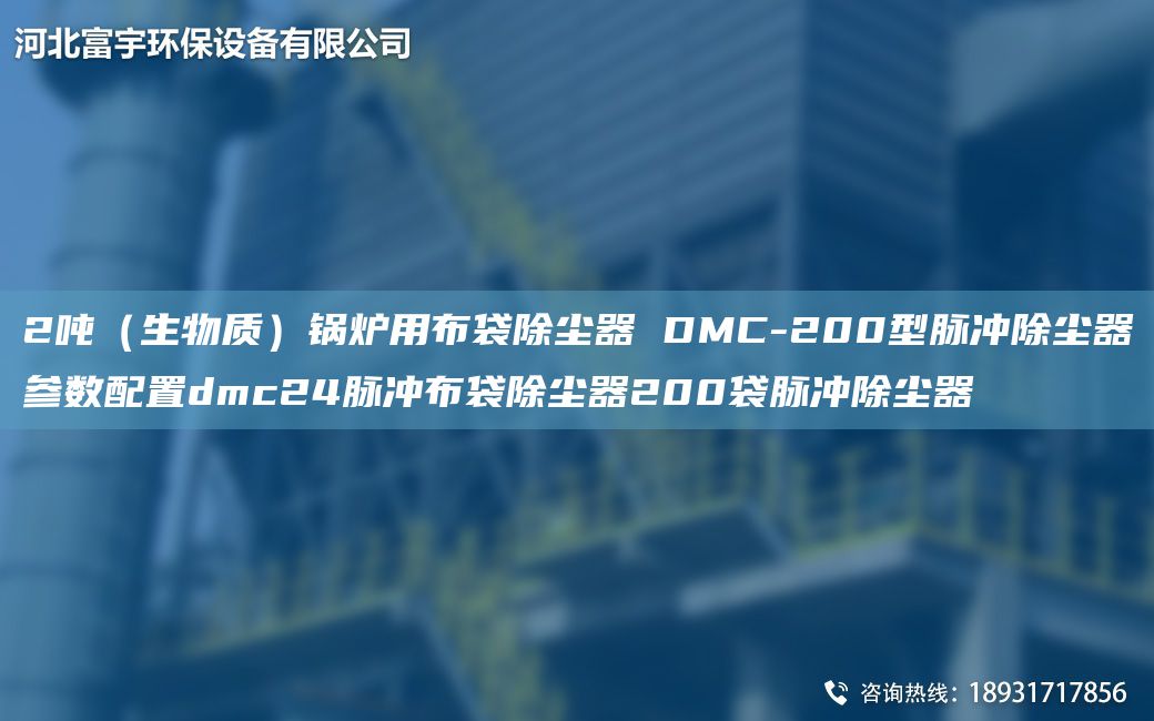 2吨（生物质）锅炉用布袋除尘器 DMC-200型脉冲除尘器参数配置dmc24脉冲布袋除尘器200袋脉冲除尘器