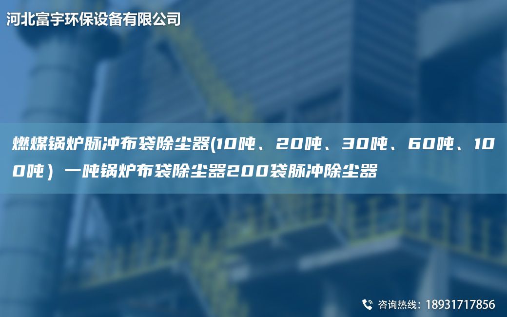 燃煤锅炉脉冲布袋除尘器(10吨、20吨、30吨、60吨、100吨）一吨锅炉布袋除尘器200袋脉冲除尘器