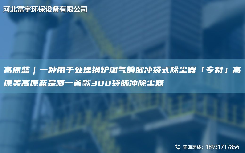 高原蓝｜一种用于处理锅炉烟气的脉冲袋式除尘器「ZL」高原美高原蓝是哪一首歌300袋脉冲除尘器
