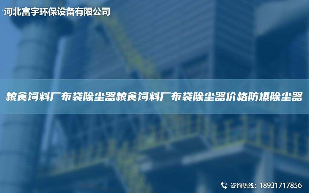粮食饲料厂布袋除尘器粮食饲料厂布袋除尘器价格防爆除尘器