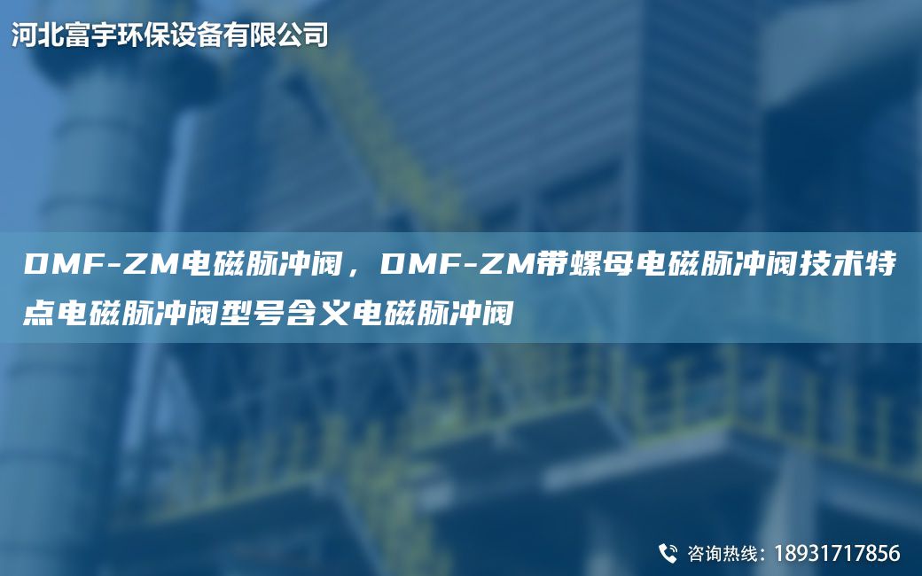 DMF-ZM电磁脉冲阀，DMF-ZM带螺母电磁脉冲阀技术特点电磁脉冲阀型号含义电磁脉冲阀